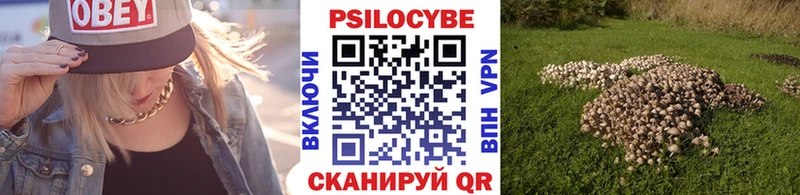 MEGA как войти  Красноуральск  Псилоцибиновые грибы мухоморы  хочу наркоту 